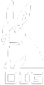 DIG