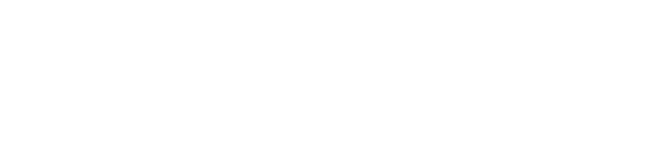 DominiPay